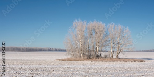 Wallpaper Mural Winter landscape with frost-covered trees used as a natural background for text or layout, seasonal change awareness day Torontodigital.ca