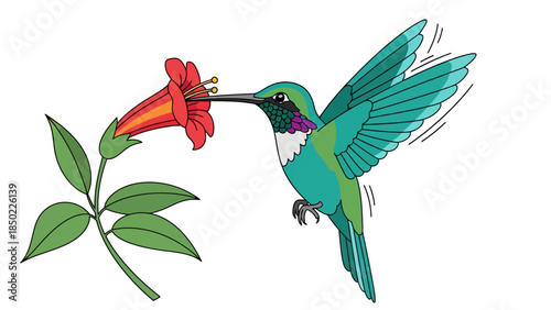 Hummingbird feeding on a red flower