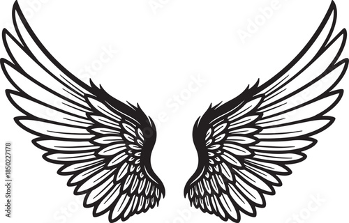 Stylized black ink of a pair of large feathered wings spread wide against a white background angel wings also transparent background