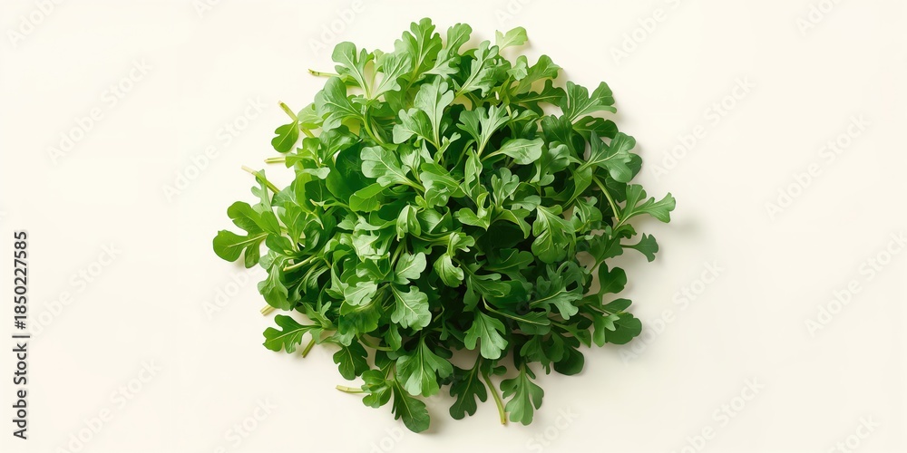 Naklejka premium Fresh rucola leaves arranged on a white background, emphasizing their use in pasta and grilled meat accompaniments