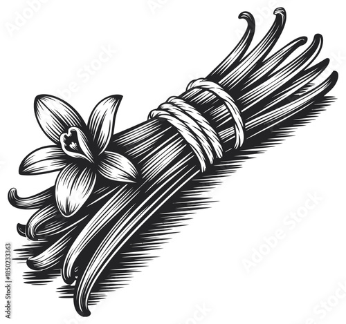 Vanilla Beans Hand‑Drawn Botanical Illustration with Flowers