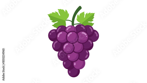 Bunch of Purple Grapes with Leaves 2.