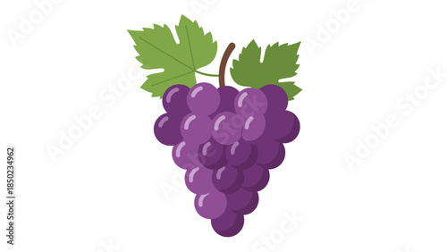 Bunch of Purple Grapes with Leaves.