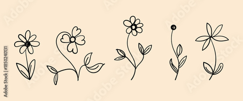 collection of five distinct hand-drawn illustrations of flowers and botanical stems, presented in a minimalist doodle style. 