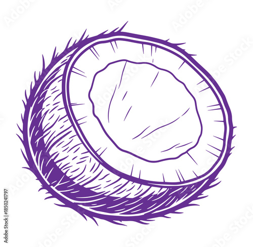 Artistic illustration of a freshly cut coconut showing the flesh and outer husk in violet