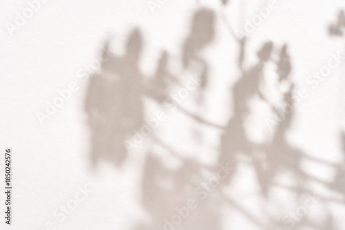 Bild auf Leinwand Abstract blurred branch shadows on white background highlighting natural patterns and minimalist design