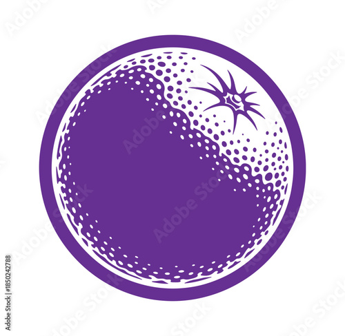 Purple grapefruit illustration with white accents isolated on a white background ideal design element