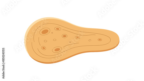 Close up of a peanut with detailed shell texture on a plain background