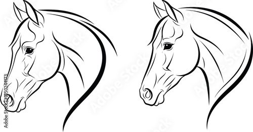 Elegant horse head outline illustration featuring two different perspectives, ideal for simple designs