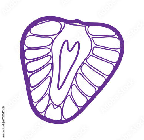 Stylized purple strawberry slice vector illustration isolated on a white background