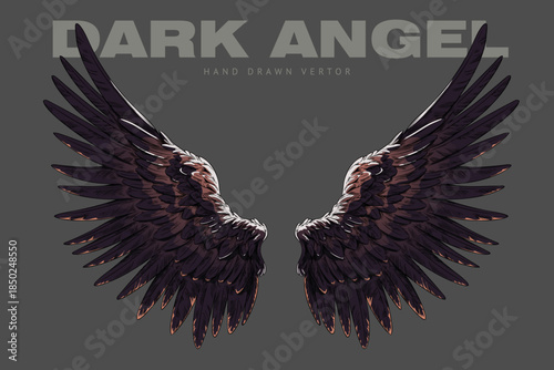 Dark angel wings sketch, heraldic wings pair, bird winged feathers vector hand drawn illustration, freedom heaven symbol