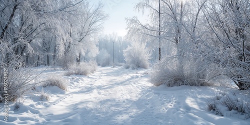 Winter landscape with snow-...