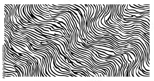 Abstract black and white organic wavy lines pattern
