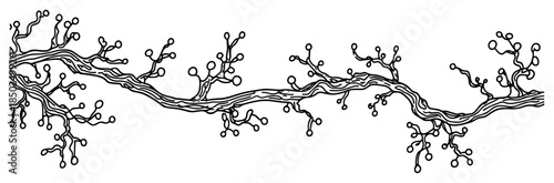 Stylized tree branch or vine with small buds line art illustration