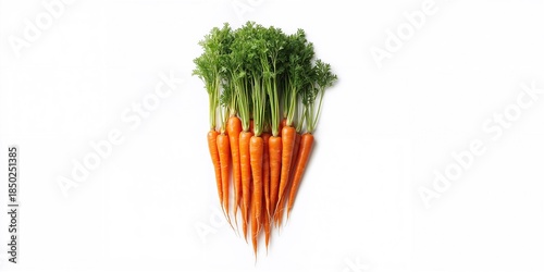 Collection of fresh carrots...