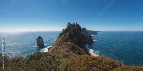 Vast coastal cliff with tre...