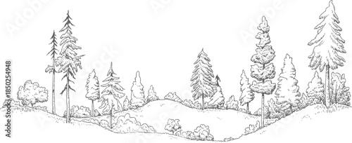 Panoramic Sketch of a Forest Landscape with Various Trees and Bushes nature