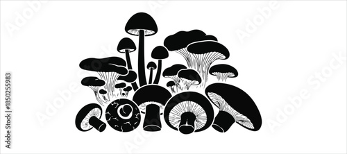 set of medicinal mushroom vector bundle pack collection. Mushroom icon design element, vector illustration. Editable vector collections.  Mushrooms silhouettes set isolated flat vector illustration. 