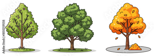 Set of three trees in different seasons from spring blossom to autumn gold