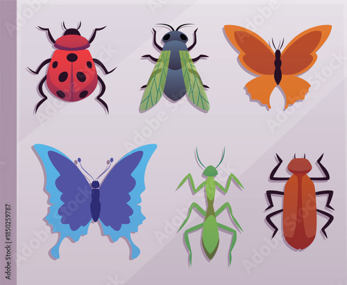 Insects species in the album flat vector icon, cartoon fly, butterfly, ladybug, cockroach pest bug entomology collection