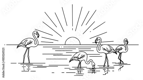 Flock of tropical flamingos standing in water during sunset line art