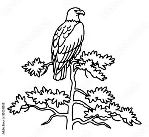 Bald eagle perched on pine tree branch black and white line art vector illustration