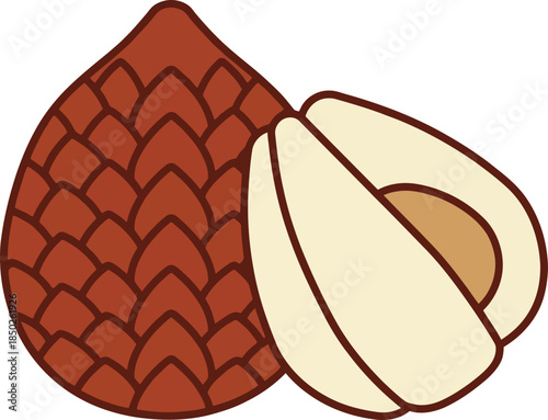 Salak fruit whole and cut open showing edible flesh with seeds healthy tropical fruit exotic nature