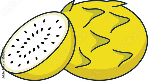Yellow pitahaya fruit whole and half sliced with seeds close up vector graphic illustration