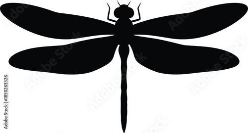 Dragonfly vector illustration
