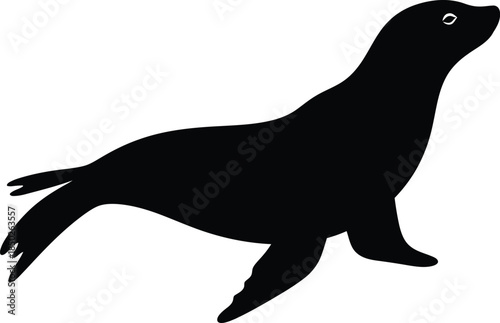 Vector illustration of a wild sea lion animal silhouette 