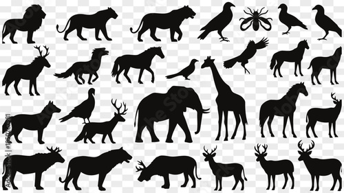 Wildlife Silhouettes Collection