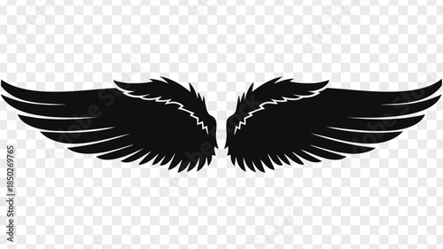 Angel Wings Silhouette Design