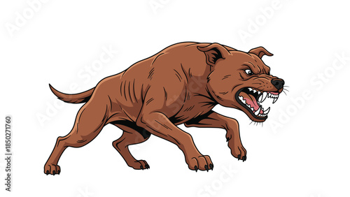 Aggressive brown pit bull dog lunging forward with bared teeth and an angry expression, ready for attack or defense.