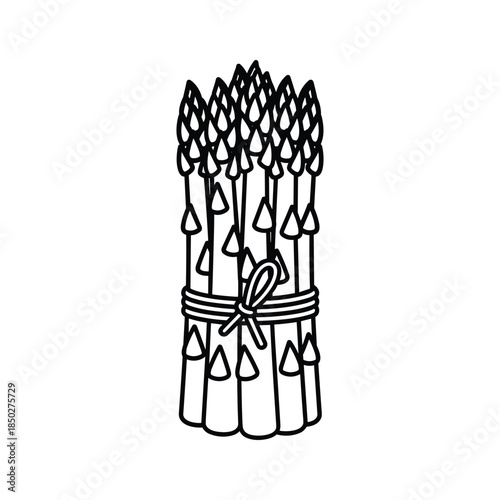 Bundle of white candles tied with ribbon