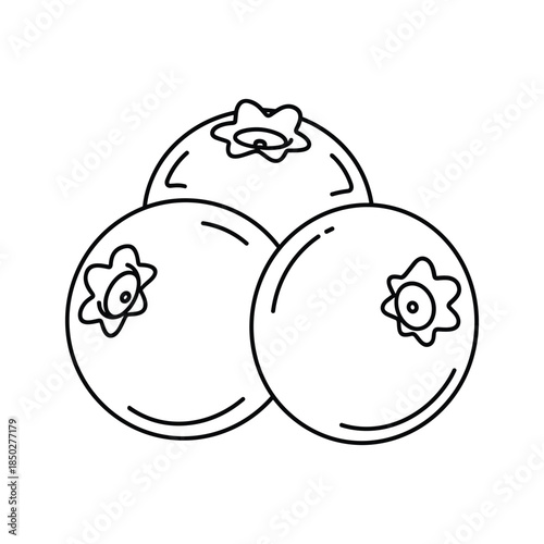 Three oranges with leaves