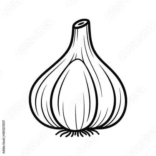 Black and white illustration of garlic on white background