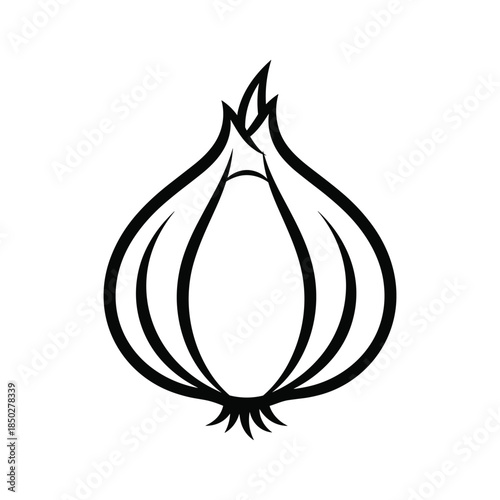 Black and white onion illustration