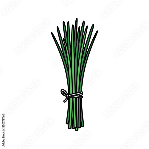 Green chives bunch tied twine