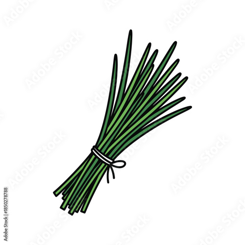 Chives bunch tied together with string
