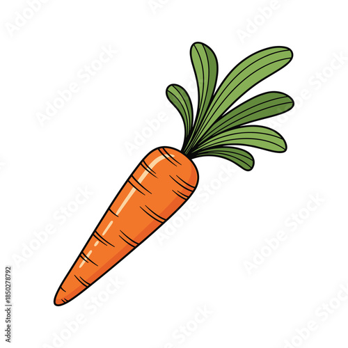Fresh orange carrot with green leaves