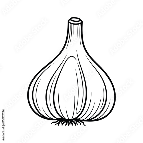 Black and white illustration of garlic bulb
