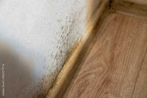 Close-up view of a damp wall corner where moisture has accumulated, revealing discoloration on the surface. The wooden floor contrasts against the textured wall.
