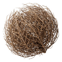 Round, branched tumbleweed with a dry, brownish look.