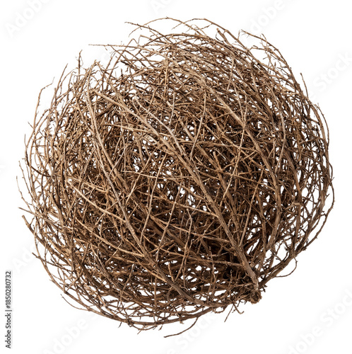 Round, branched tumbleweed with a dry, brownish look.
