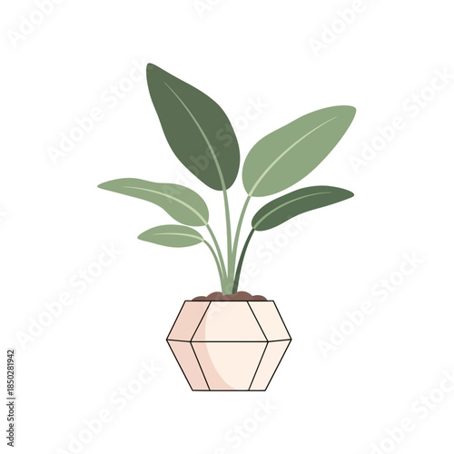 Charming minimalist illustration of a potted bird of paradise plant indoors adding touch of green