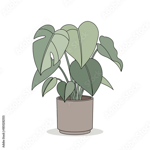 Aesthetic potted monstera plant illustration against a white backdrop creating a minimalist visual