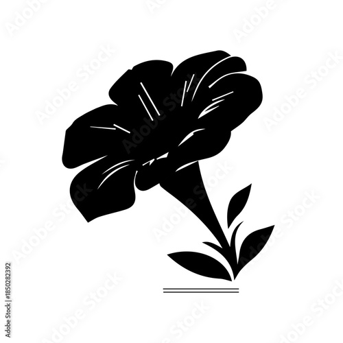 Petunia black and white flower