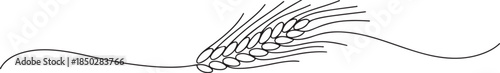A single line drawing of a spikelet. Continuous line thanksgiving ear icon. one line Icon drawing