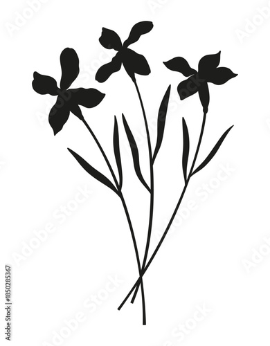 Bouquet of three matthiola flower silhouettes. Bunches of blooming wildflowers with leaves, perennial wild plants, minimal style. Botanical hand-drawn elements for design projects. Vector illustration