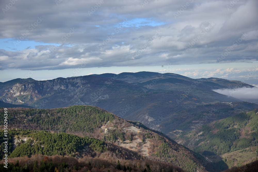 Fototapeta premium Mountain landscape peaks needles trees pines shrubs autumn foliage forest flora nature blue sky white cirrus and cumulus clouds